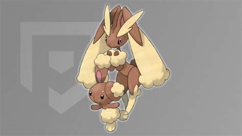 buneary evolution chart|pixelmon buneary evolution.